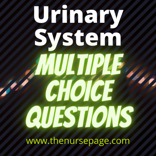 Urinary System Quiz Answer Key
