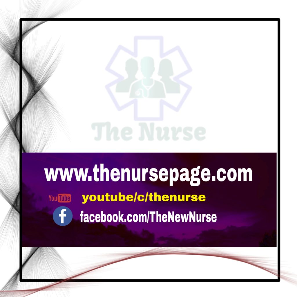 Anatomy visual data 7