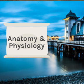 ANATOMY AND PHYSIOLOGY MCQS FOR NURSES PDF visual data 3