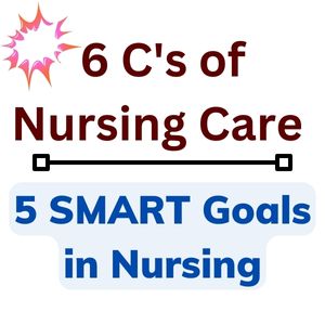 6 C's of Nursing Care