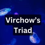 Virchow’s Triad